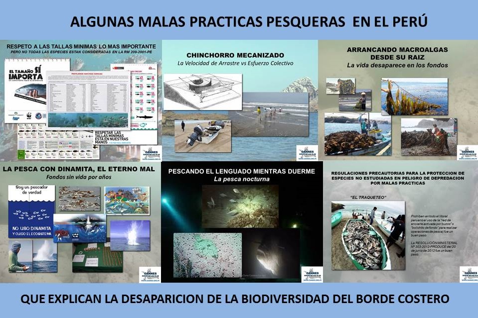 Los diversos intereses de peruanos en la pesca y acuicultura