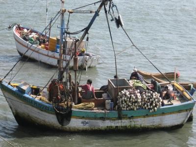 Por que si y por qué no, a una nueva ley general de pesca