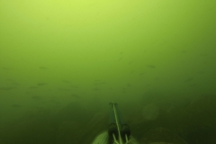 DCIM\100GOPRO